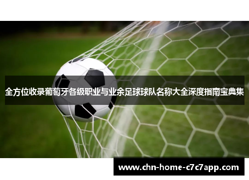 全方位收录葡萄牙各级职业与业余足球球队名称大全深度指南宝典集 全方位收录葡萄牙各级职业与业余足球球队名称大全深度指南宝典集